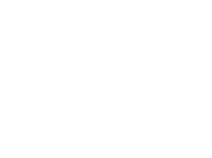 vault insurance logo
